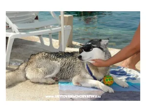 AG Komarna | Pelje�ac B. Apartm�ny