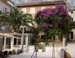 Apartm�ny Potts Point