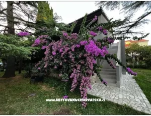 Flowers Apartm�n Medulin, Fucane 2