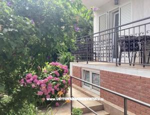 Apartm�ny Rubini� 