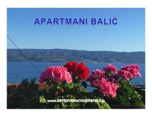 Apartm�ny Bali�