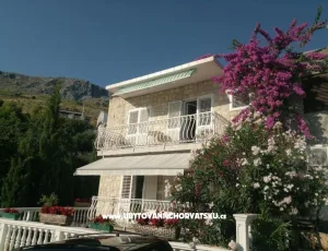 Apartm�ny Kujund�i�