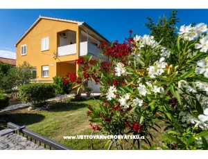 Apartm�n Agava Seline