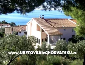 Apartm�ny Aleri�