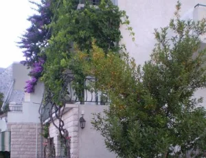 Apartm�ny Antonela Dra�nice