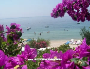 Apartm�ny Petar Vla�i�