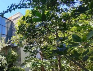 Apartm�n Zora Pula