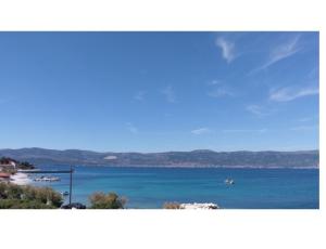 Apartmn Tea Slatine Apartmn Tea Slatine