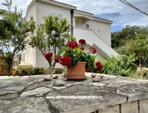 Apartm�ny Budija / Viola