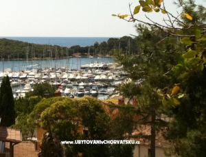 Apartm�ny Rakovac Vrsar