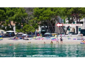 Apartm�ny u dvou palem