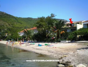 Apartm�ny �uljana