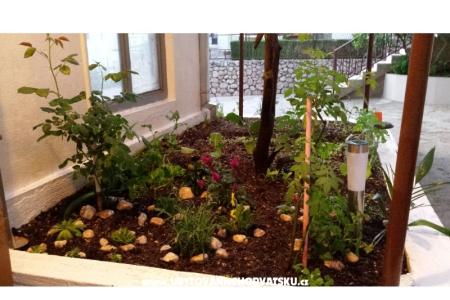 Apartmán ANTON foto 3