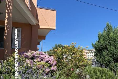 Apartmán  Bibinje Chorvatsko