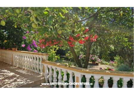 Apartmán Mara foto 2