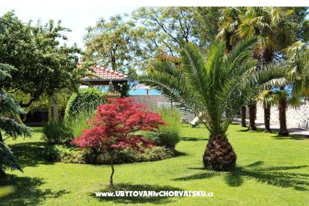 Dragan Apartmány foto 5