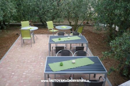 Apartmány Olive foto 4