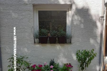 VILLA BERNARD..150 m plaža DRAŽICA foto 4