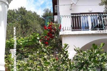 Apartmán Seaside foto 3