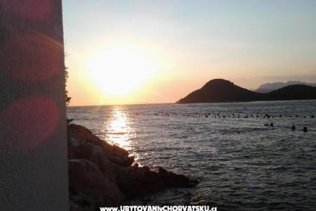 Villa Mala foto 2
