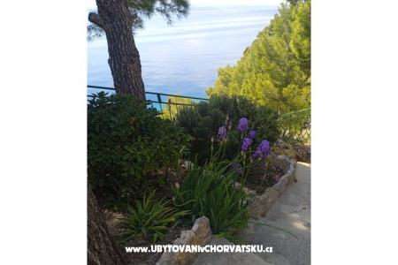 Accommodation Leon foto 5