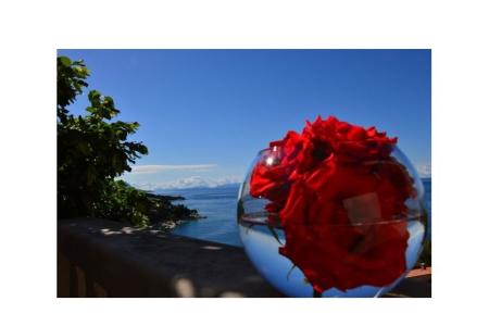 Apartmány Perla Brela Chorvatsko