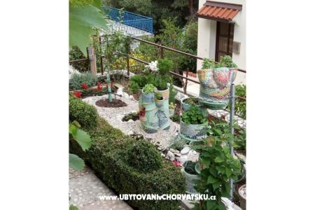 Apartmány  Ivo Pikolo foto 5