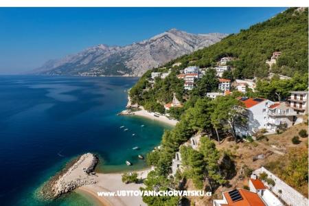 Pine Canopy Studios and Apartmány foto 3