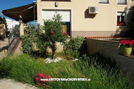 Villa Dolly foto 2