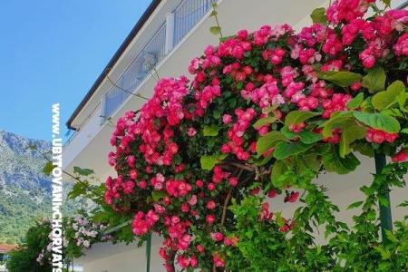 Apartmány Villa Ivan Drvenik foto 2