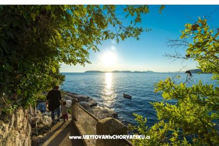 Apartmány Diana foto 3