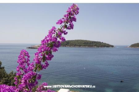 Apartmány Rašica foto 5