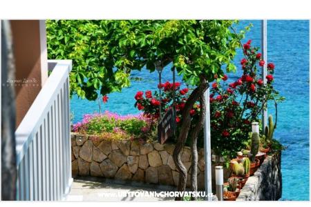 Villa Ana Apartmány foto 3