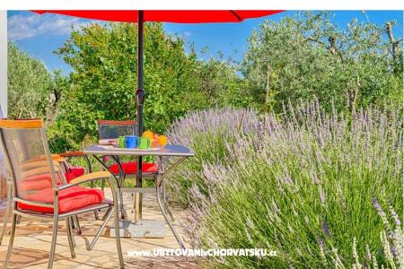 Apartmány Amalia Fažana foto 5