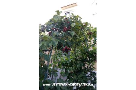 Apartmány Matej foto 5