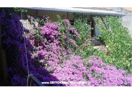 Apartmány Liđa foto 4