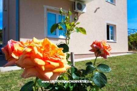 Apartmány Sea view foto 2