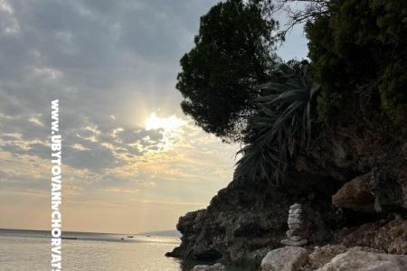 Apartmány NIKOLA foto 5