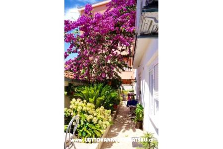 Apartmány Jerković Gradac foto 5