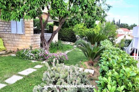  Apartmány Tamara foto 5