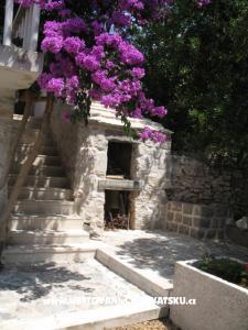 Apartmány Margarita-Zavala foto 4