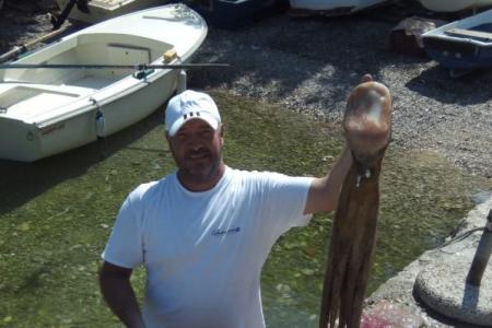 Apartmány Natali foto 3