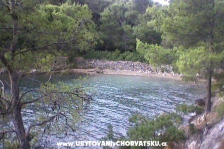Apartmány Vucelić foto 3