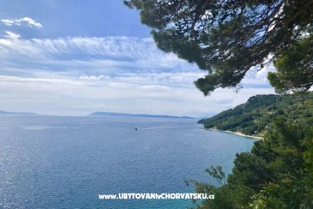 Apartmány  Ines Igrane Chorvatsko