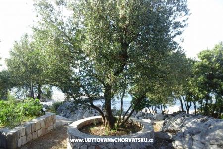 Apartmán Smiljana foto 2