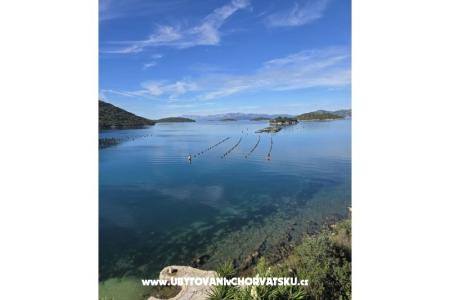 Apartmány Ivomir Malo more foto 2