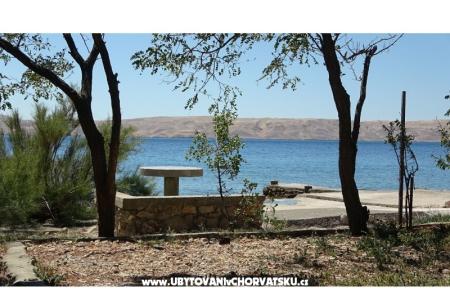 Apartmány Ribarica foto 5