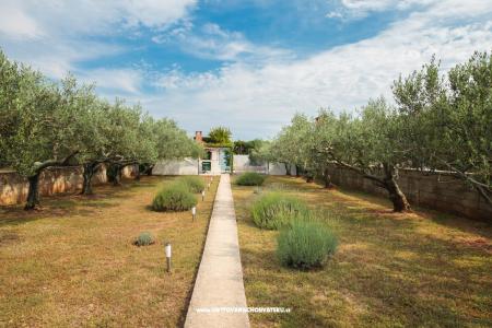 Dům na pláži foto 2