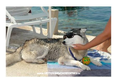 AG Komarna | Pelješac B. Apartmány Klek Chorvatsko