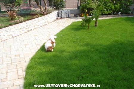 Apartmán ETA foto 5